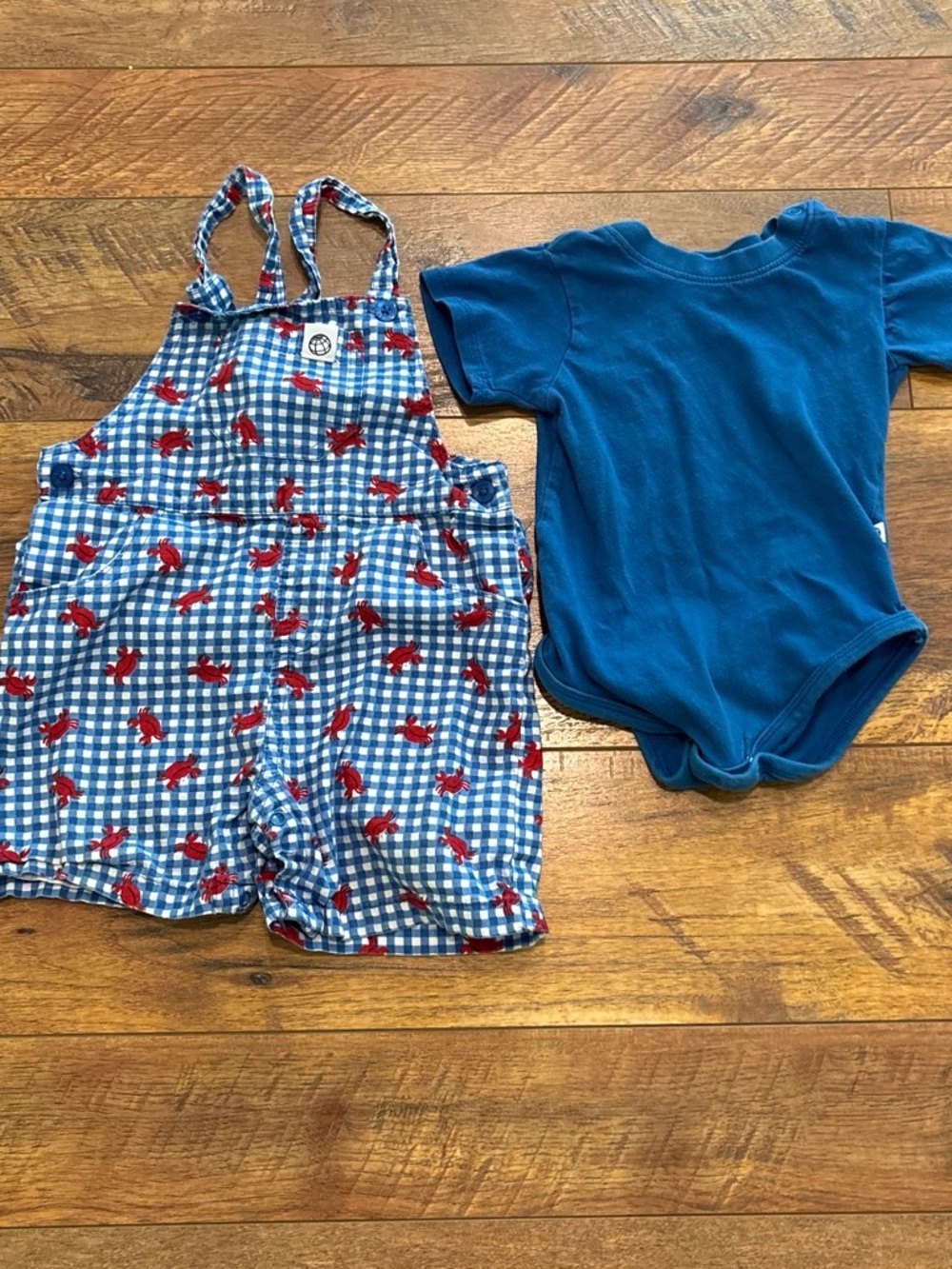 Free Planet Blue Gingham Overalls with Red Crab Print & Solid Blue Bodysuit
